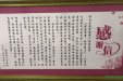 我院对口帮扶溆浦县人民医院显成效