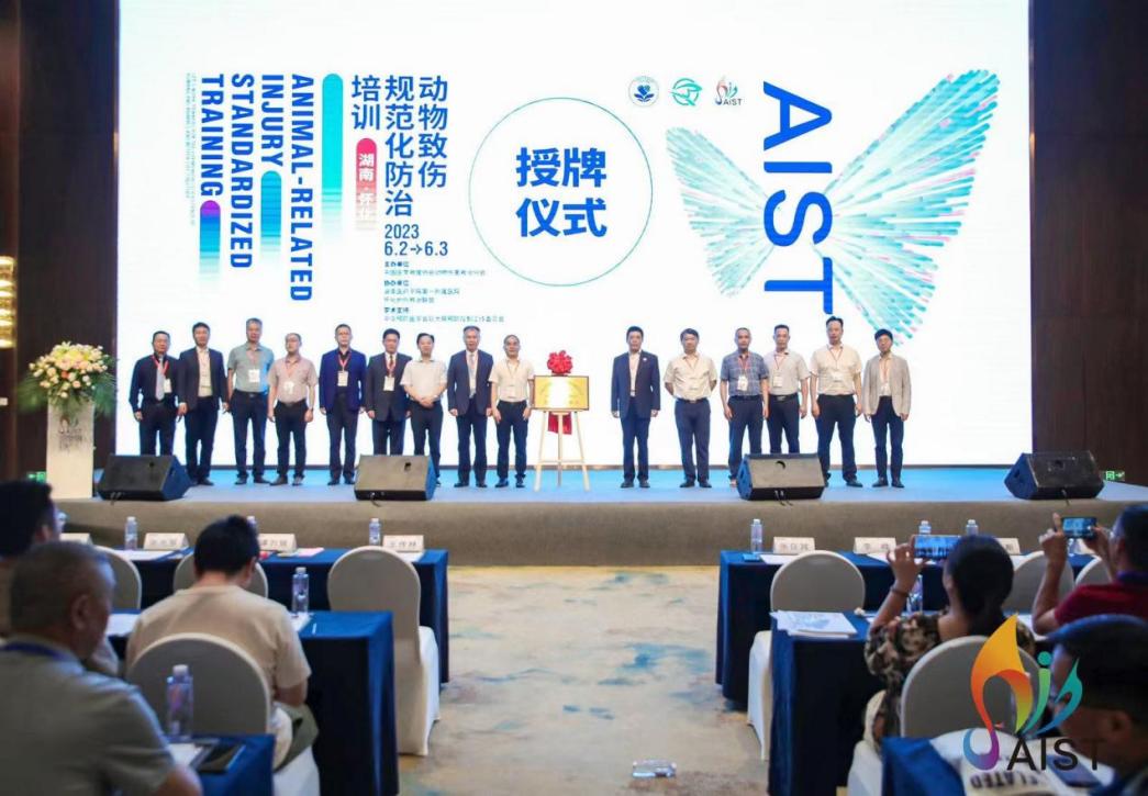 图片 9