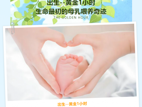 【母乳小课堂】出生黄金1小时：生命最初的母乳喂养奇迹