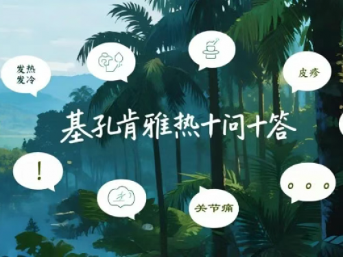 基孔肯雅热十问十答