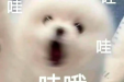 【医保知识】看病花钱心里没数？这份医保“报销指南”请收好！
